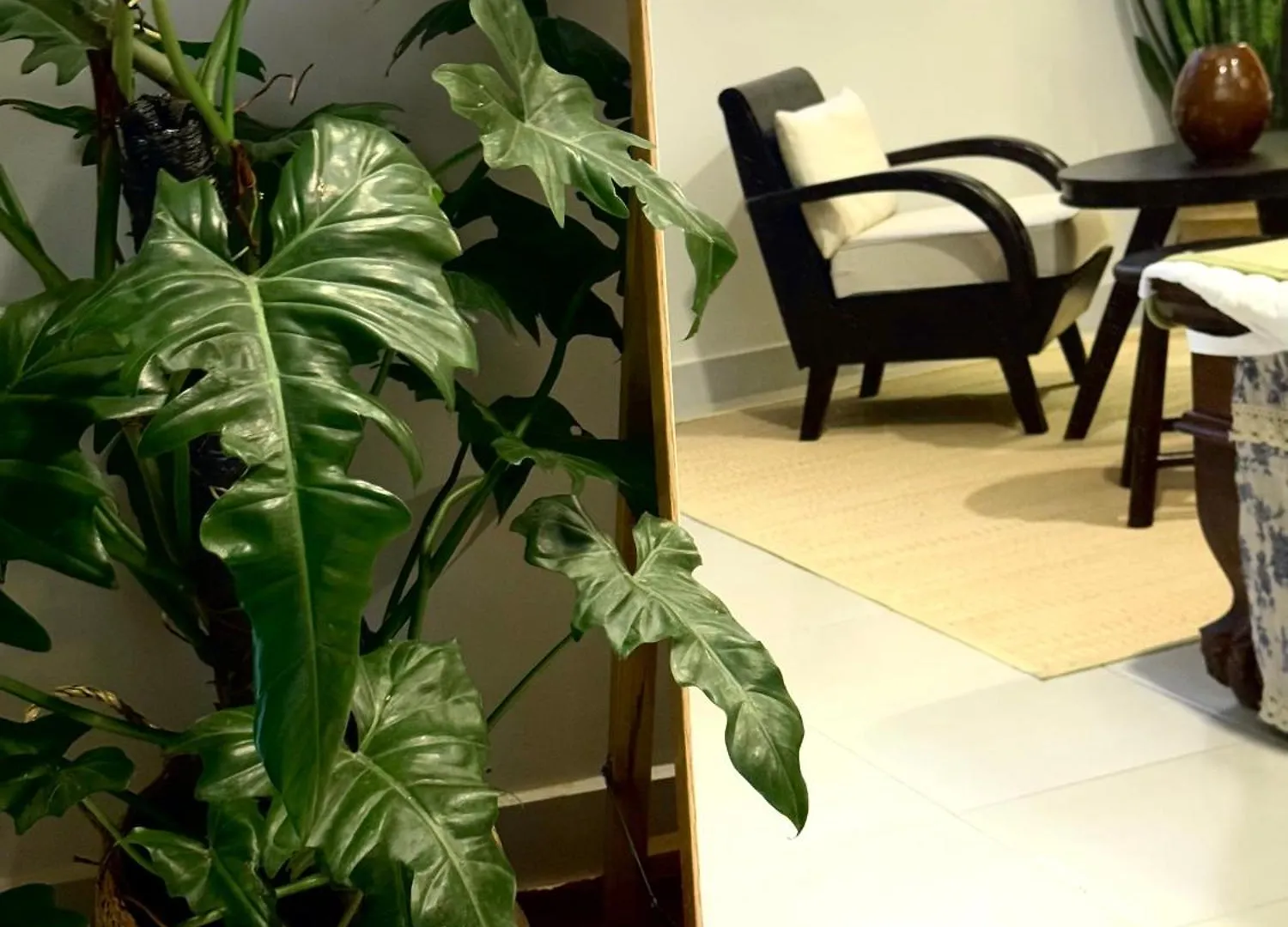 Midori Maison 胡志明市 别墅